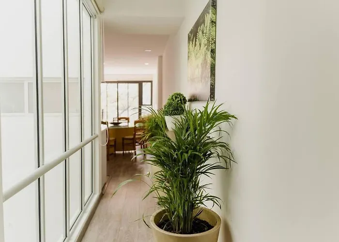 Tamaulipas 2br By Lomah Apartment *